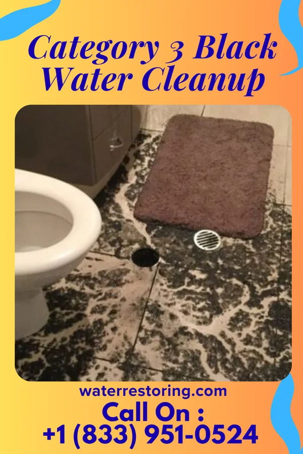 Category 3 Black Water Cleanup in Ewing, MO