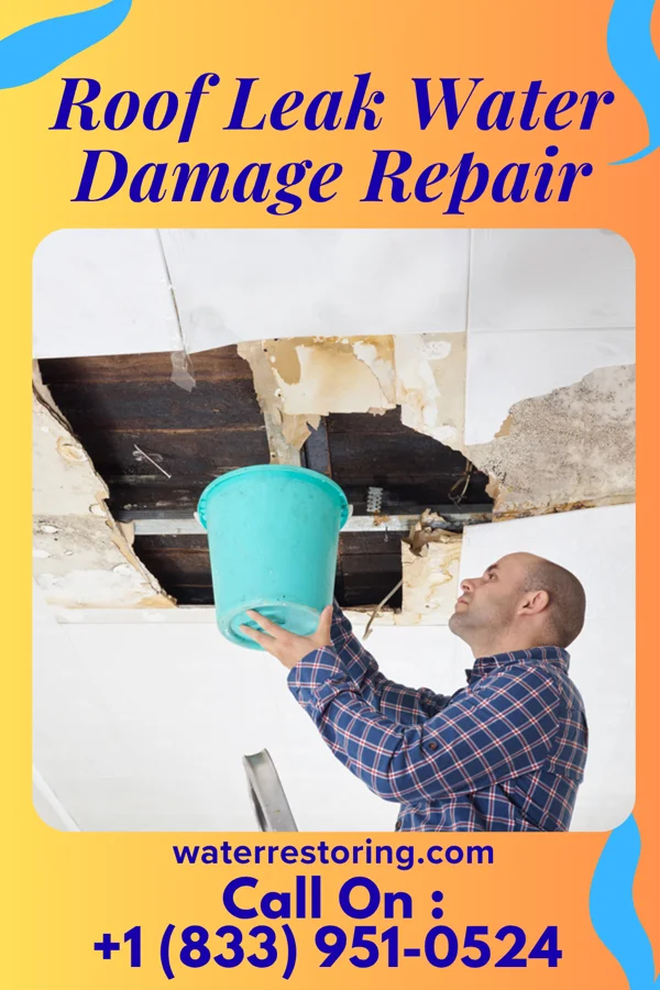 Roof Leak Water Damage Repair in Ewing, MO