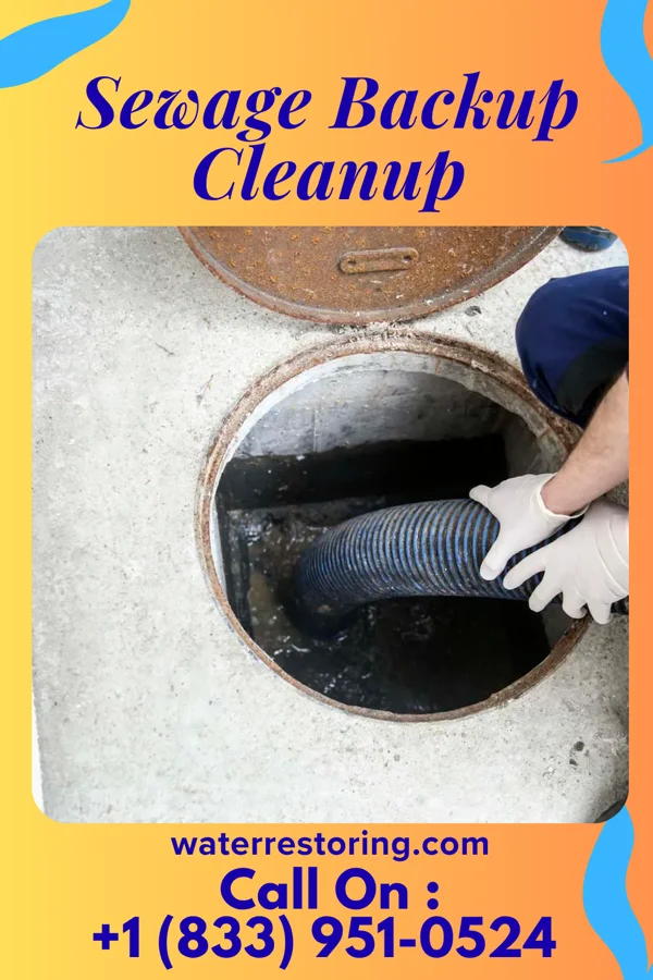 Sewage Backup Cleanup in Ewing, MO