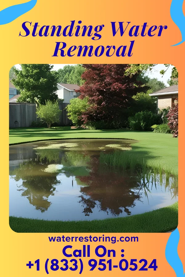Standing Water Removal in Ewing, MO